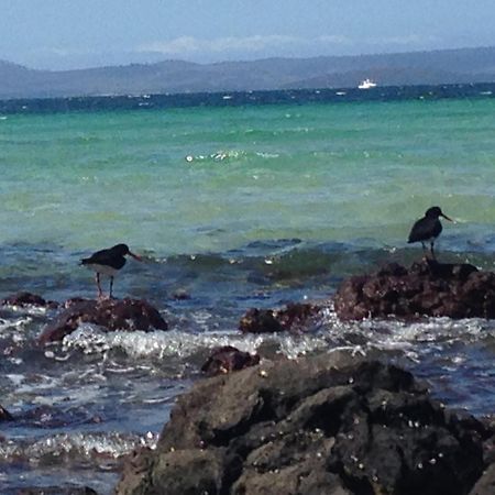 Saltwater River Convict Beach House מראה חיצוני תמונה
