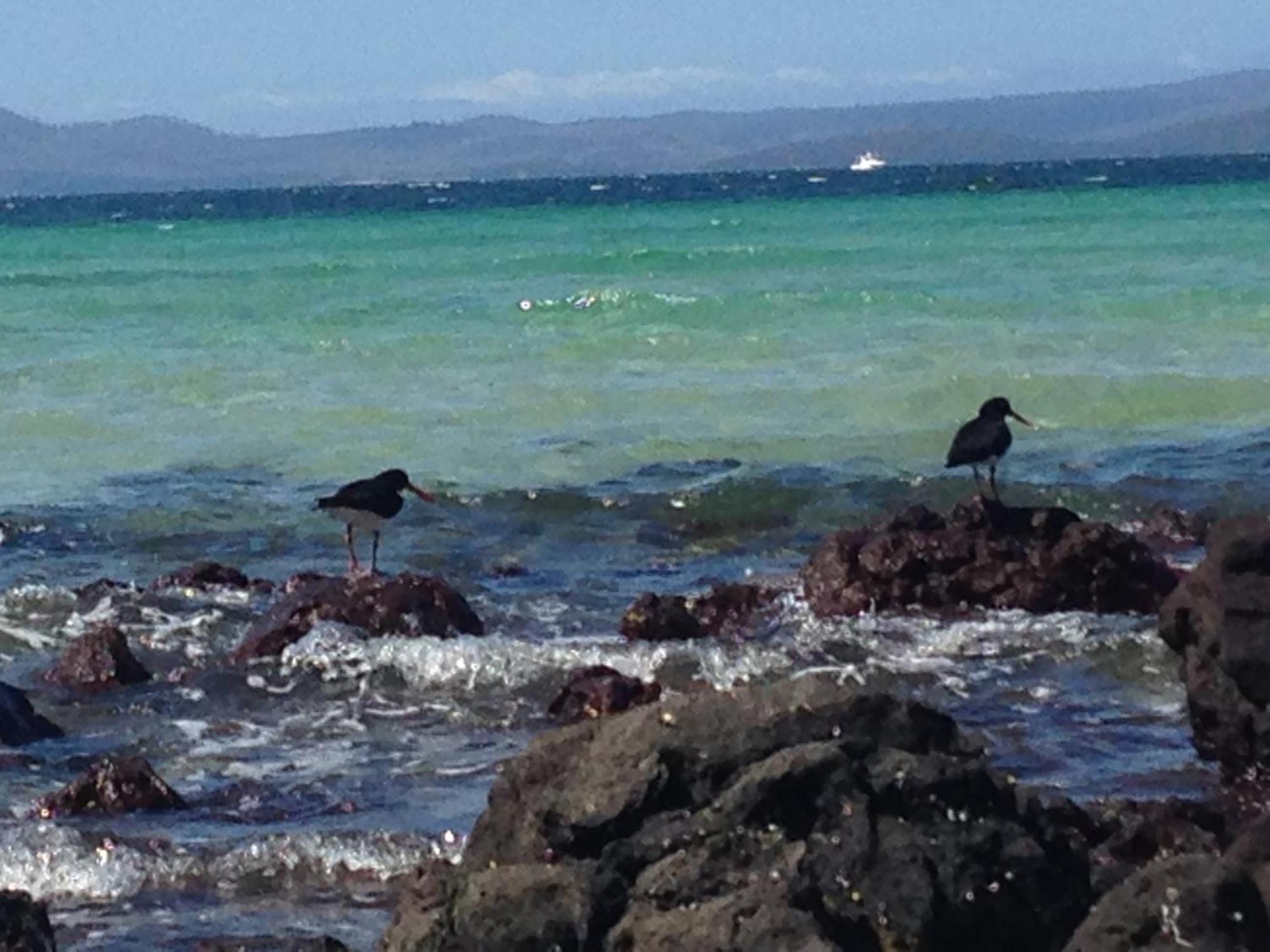 Saltwater River Convict Beach House מראה חיצוני תמונה