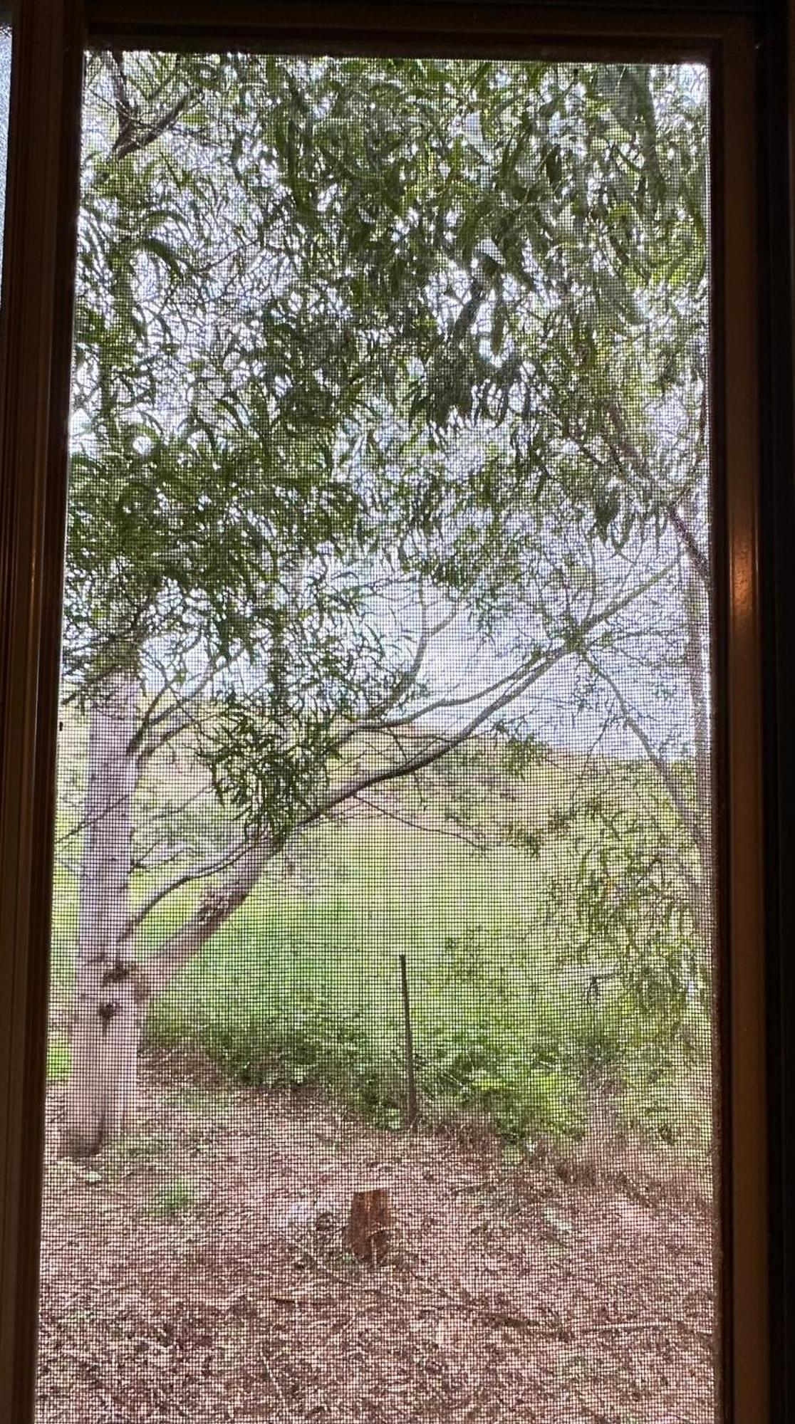 Saltwater River Convict Beach House חדר תמונה